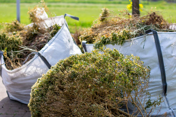 Yard Cleanup Services in Jefferson City, MO